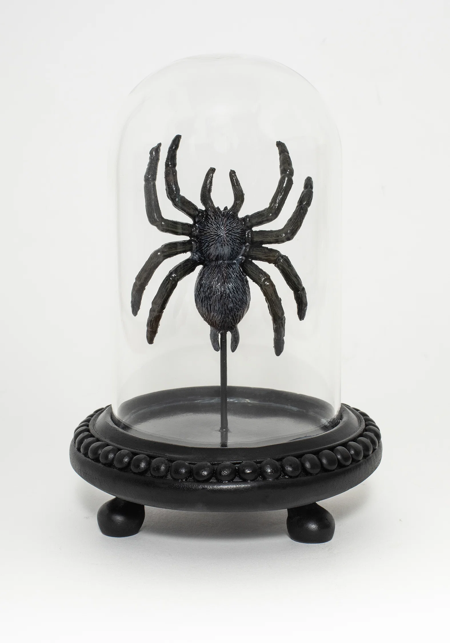 Arachne Spider In Jar - Image 2