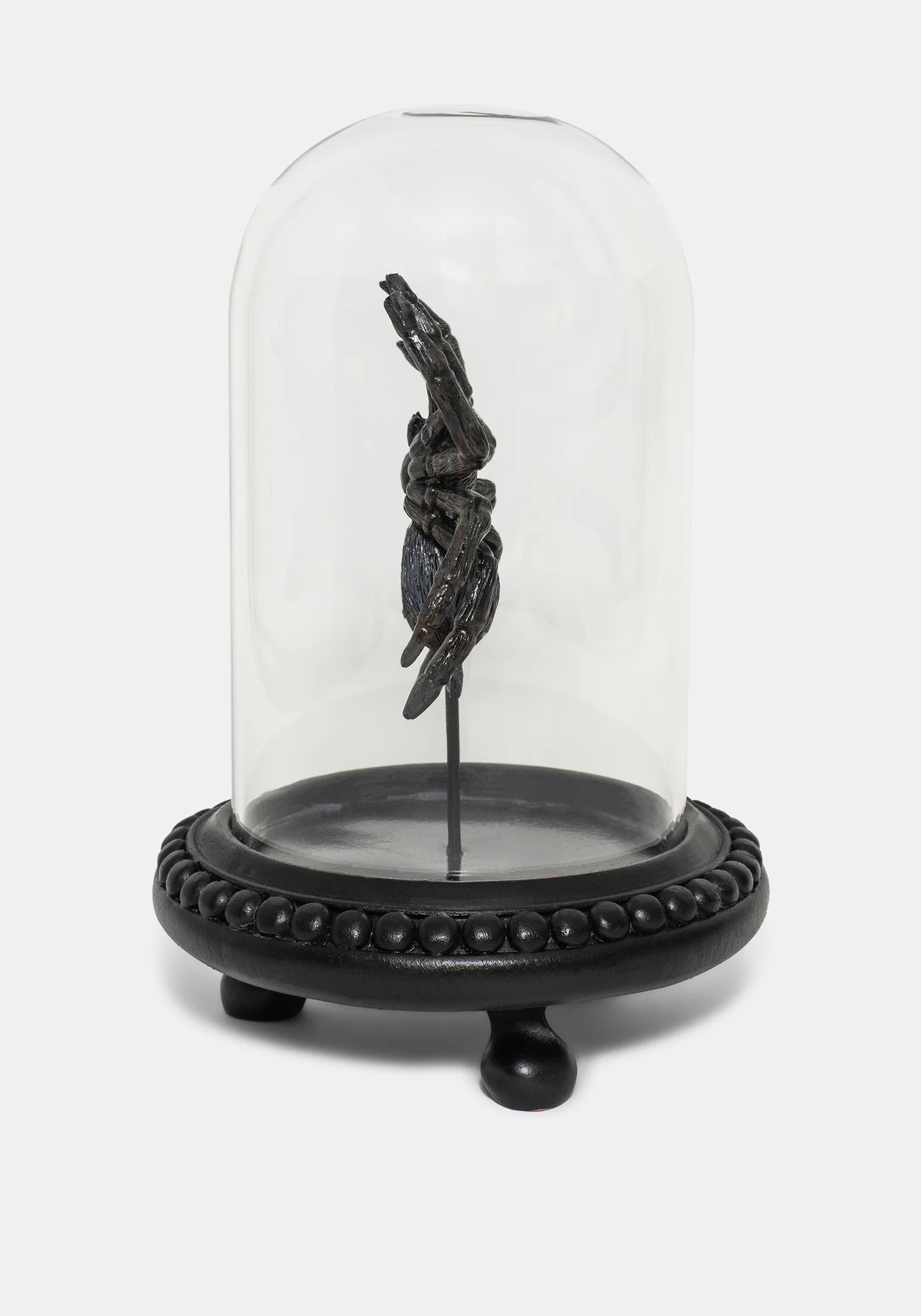 Arachne Spider In Jar - Image 4