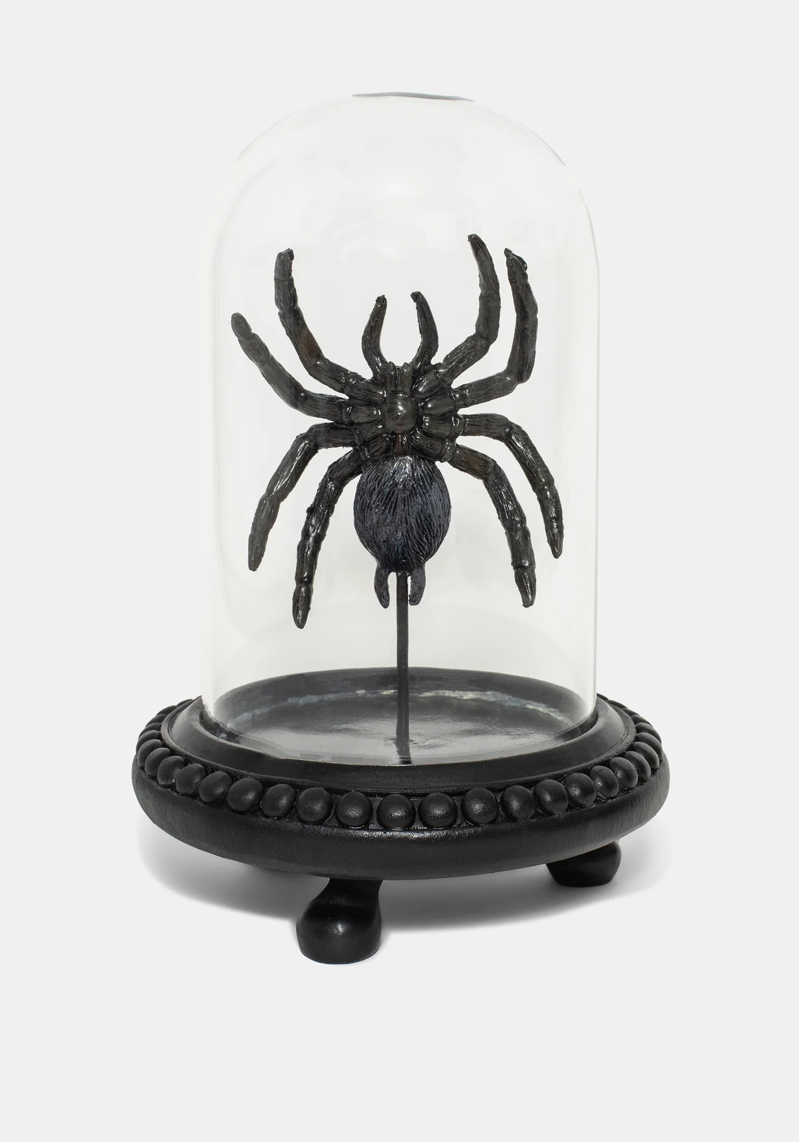 Arachne Spider In Jar - Image 5
