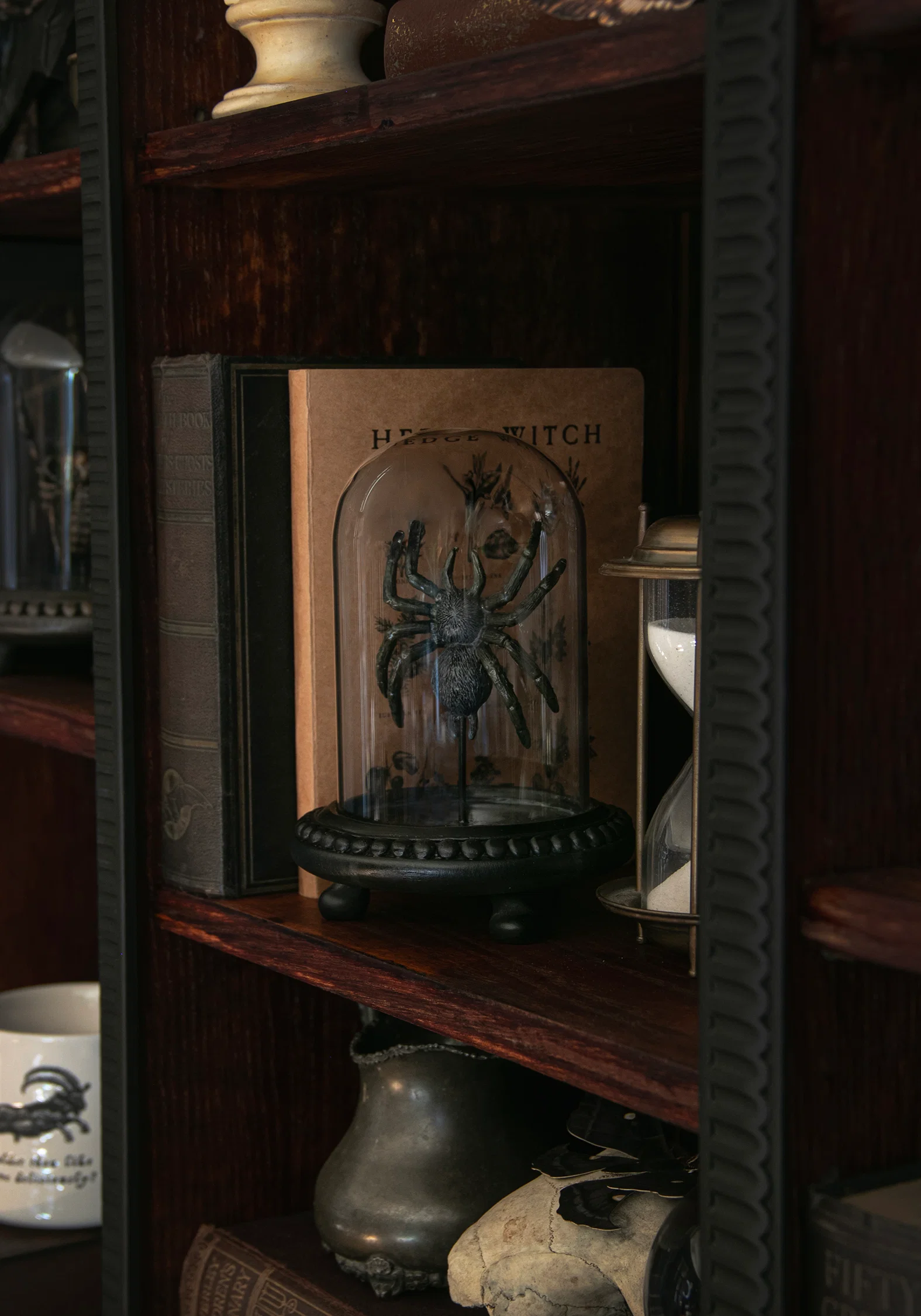 Arachne Spider In Jar - Image 7