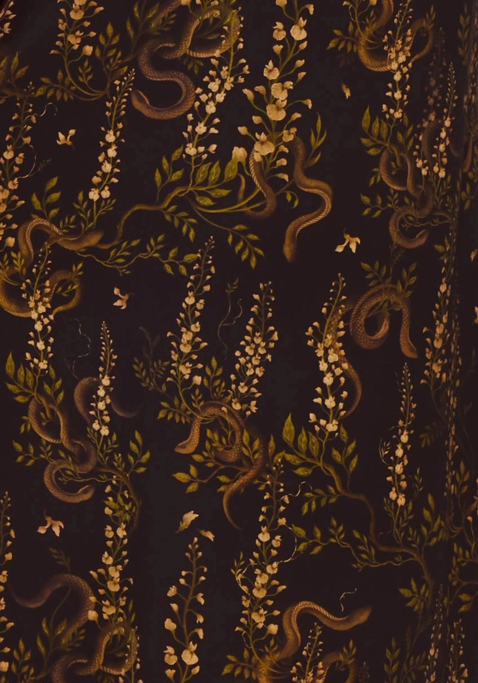 Azazel Snake Printed Midaxi Dress - Image 2