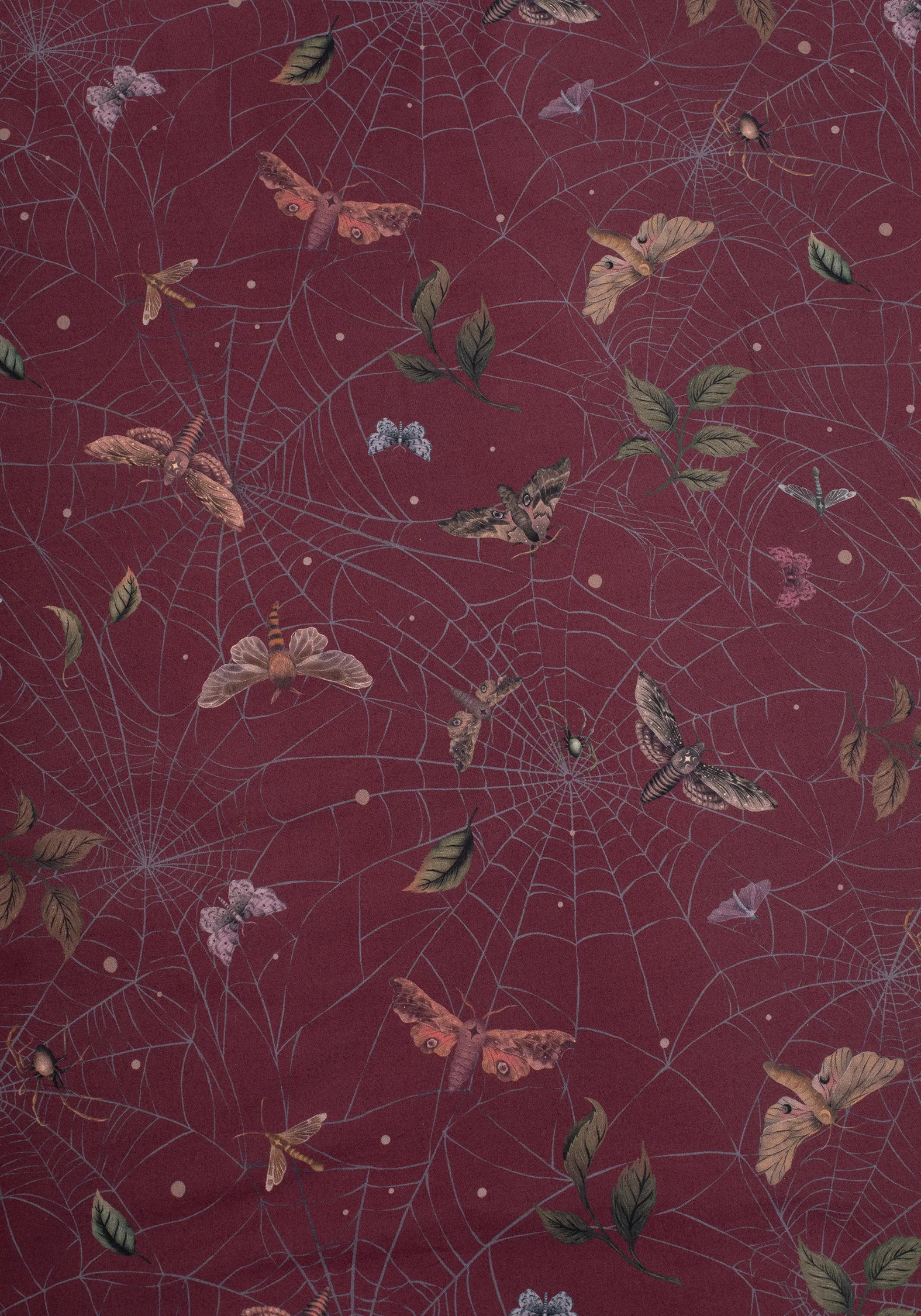 Celia Moth Web Bedding (UK Double) - Image 3