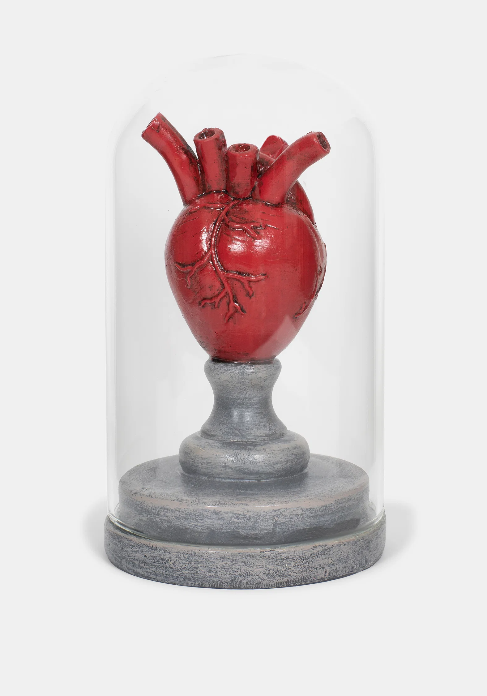 Cordis Heart In Jar - Image 2