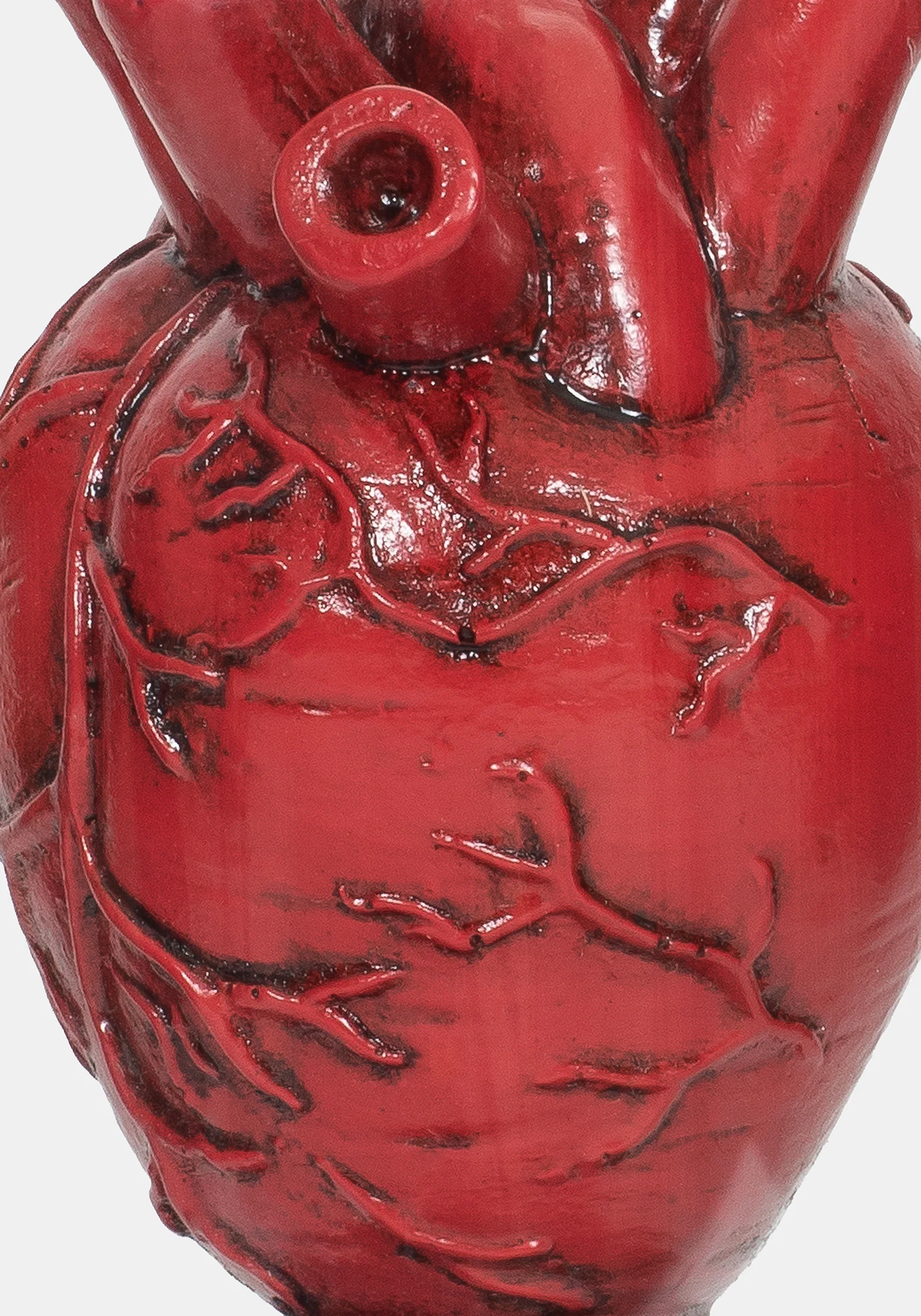 Cordis Heart In Jar - Image 3