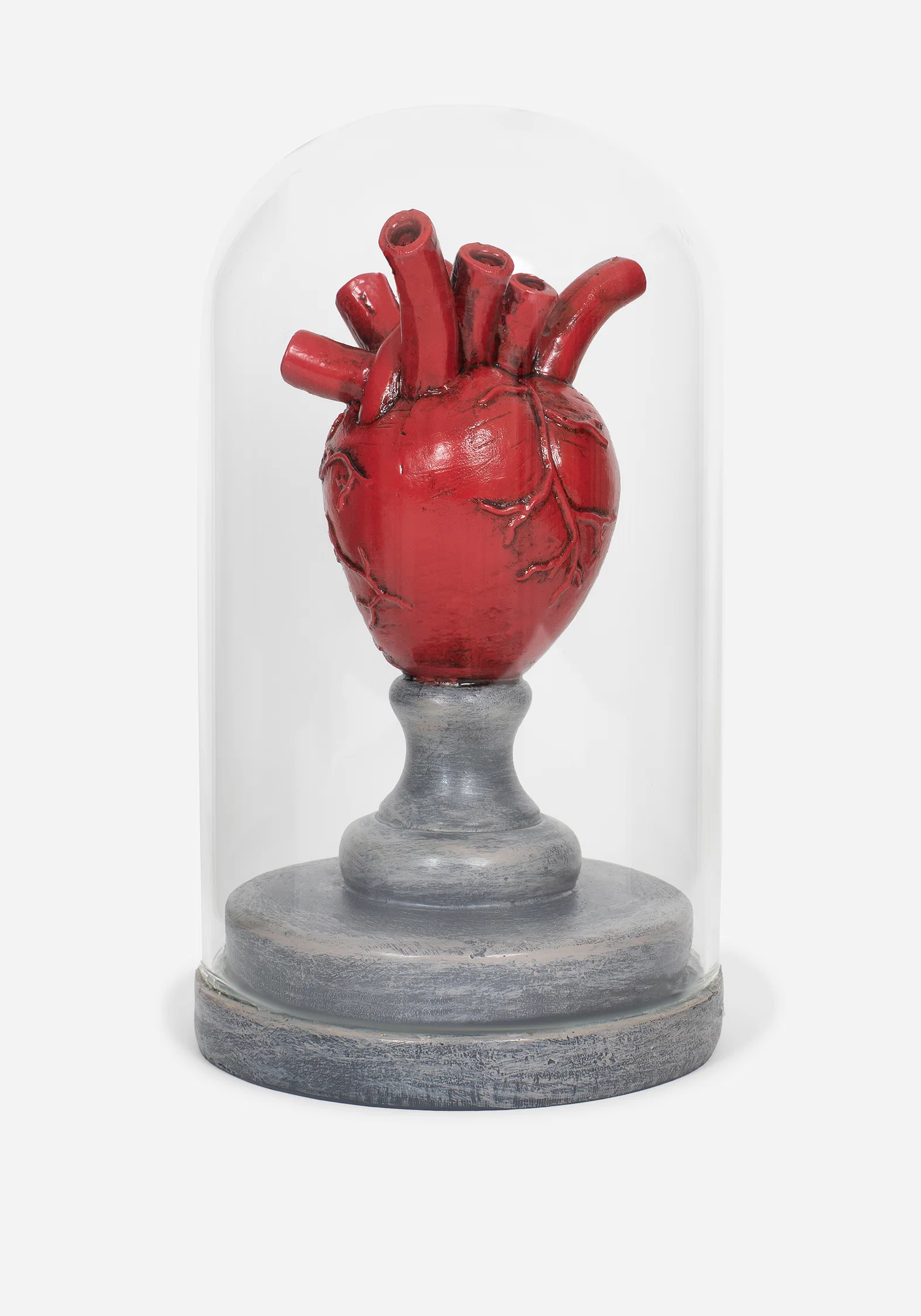Cordis Heart In Jar - Image 4