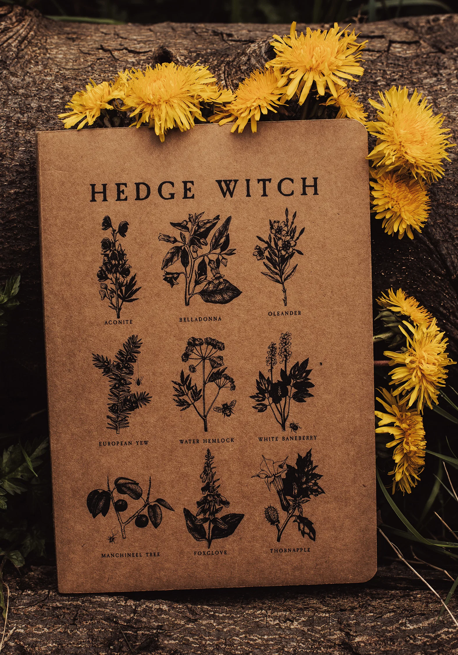 Hedgewitch A5 Journal - Image 4