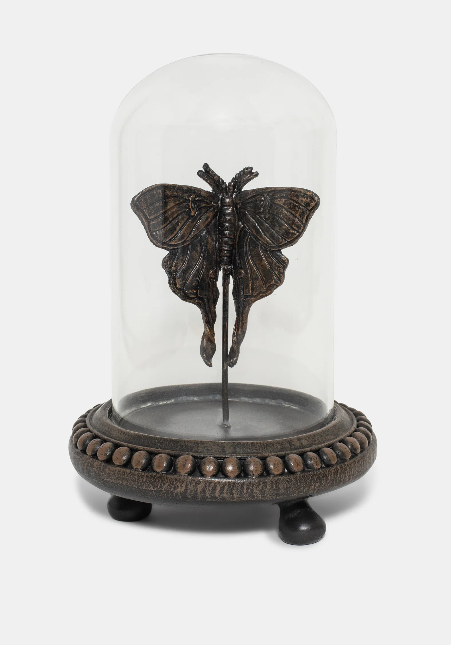 Luna Moth In Jar - Image 2