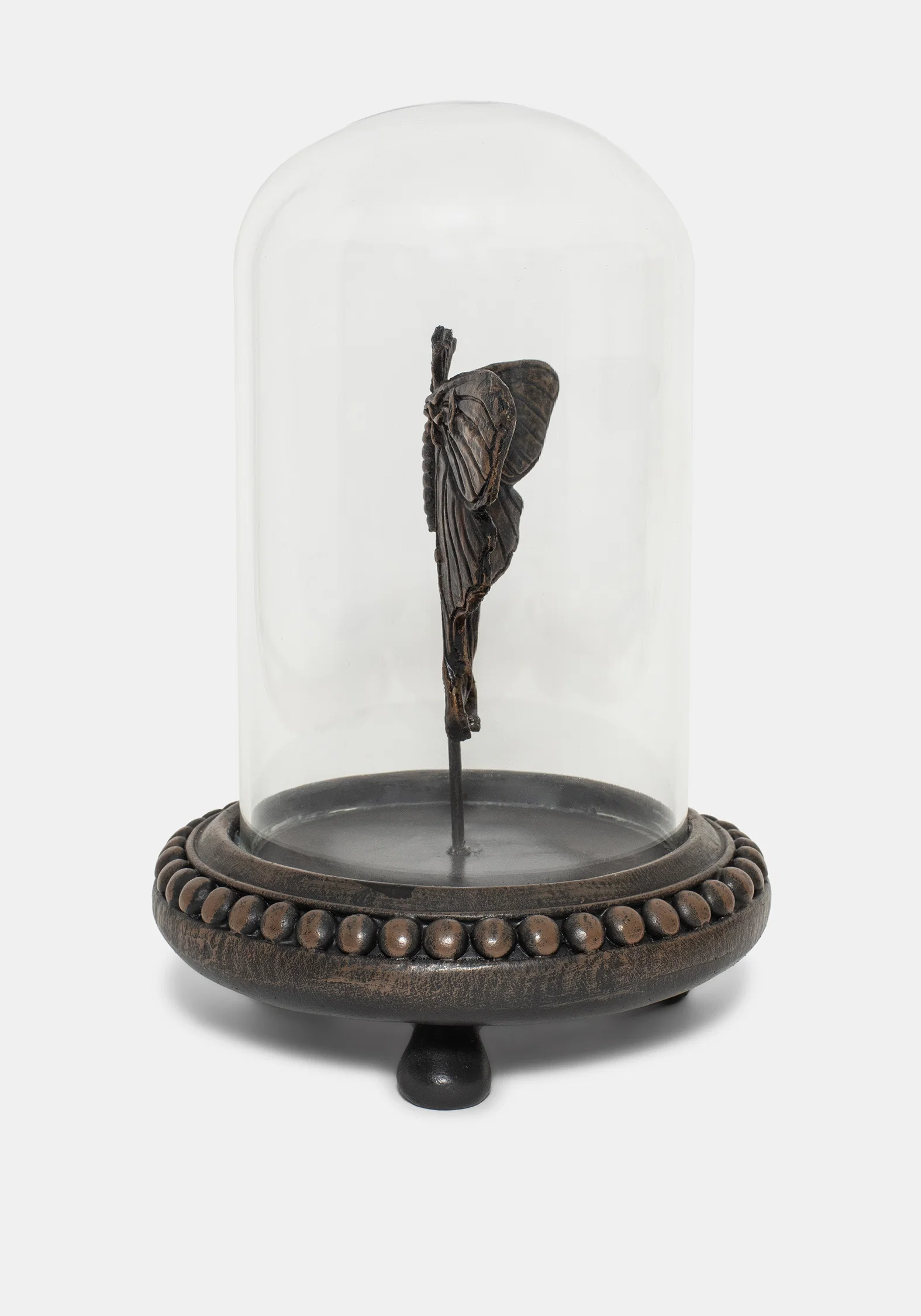 Luna Moth In Jar - Image 4