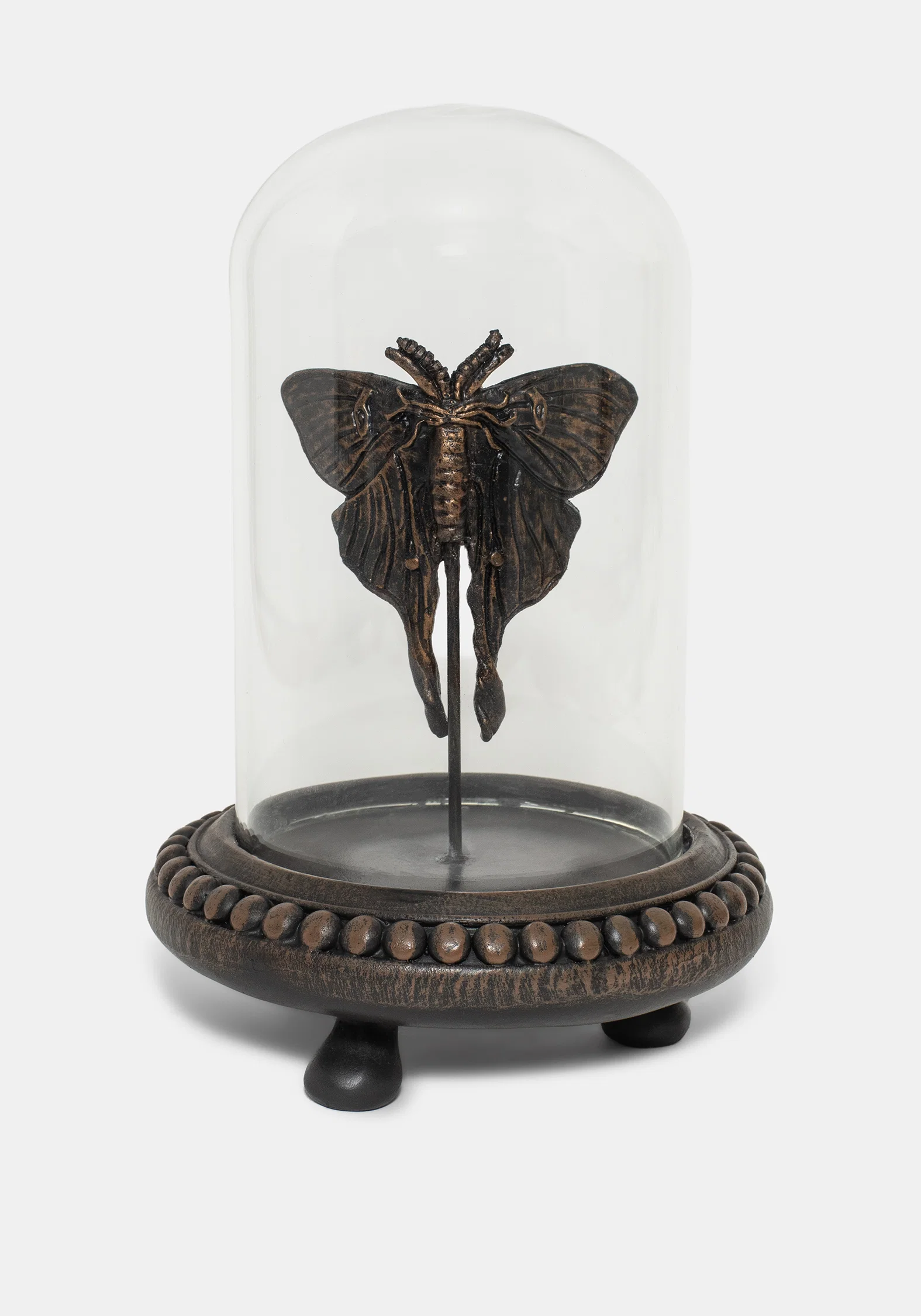 Luna Moth In Jar - Image 5