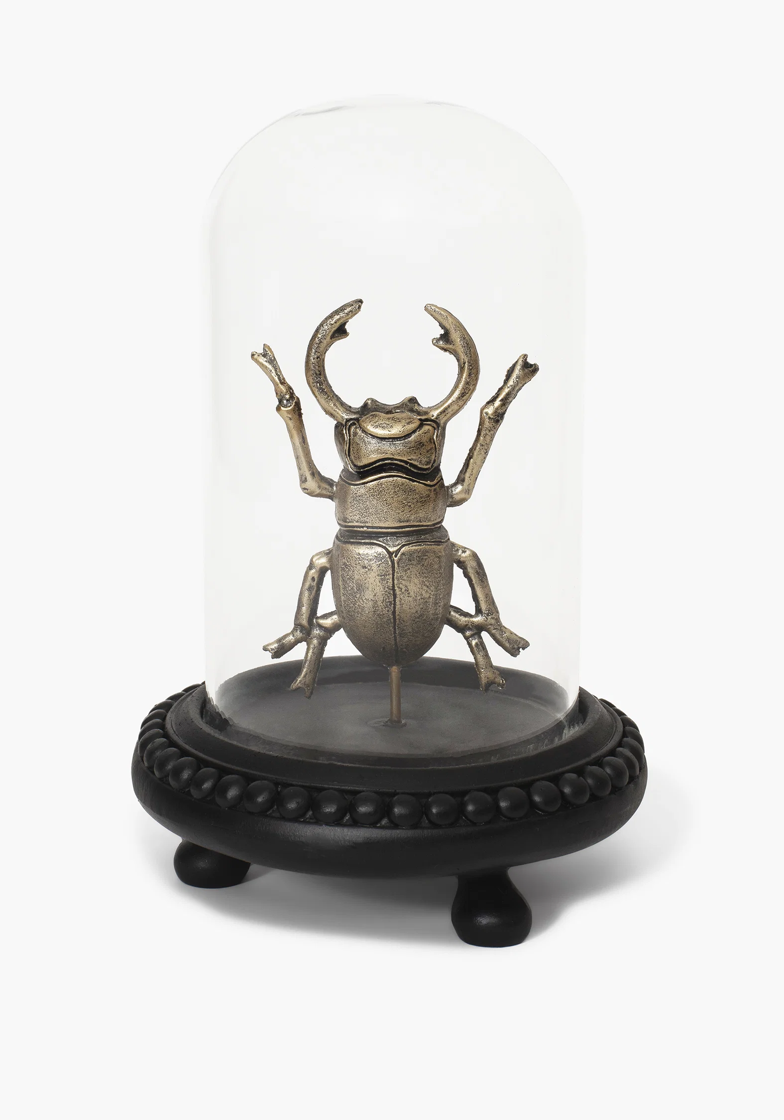 Lyra Bug in Jar - Image 2