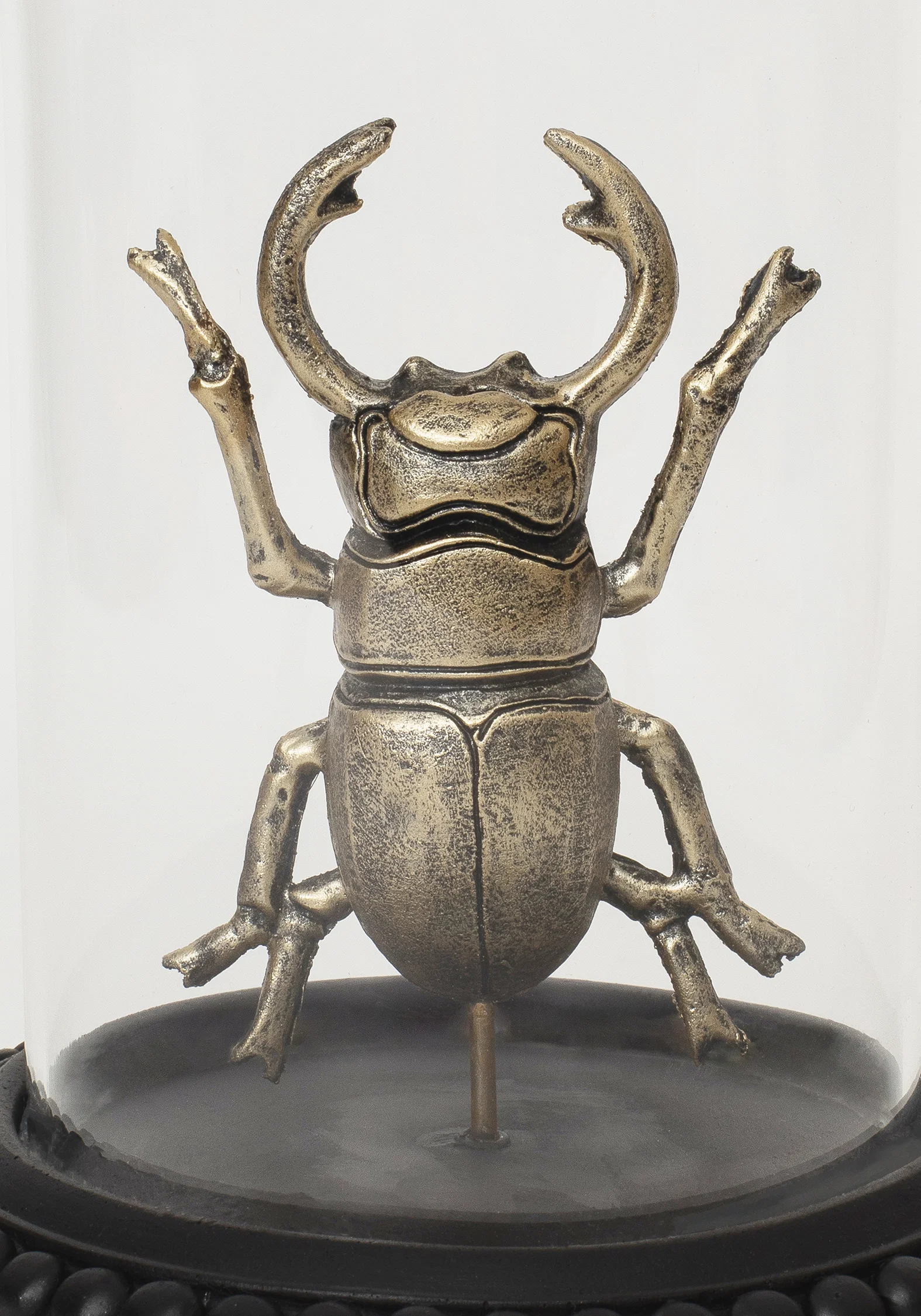 Lyra Bug in Jar - Image 3