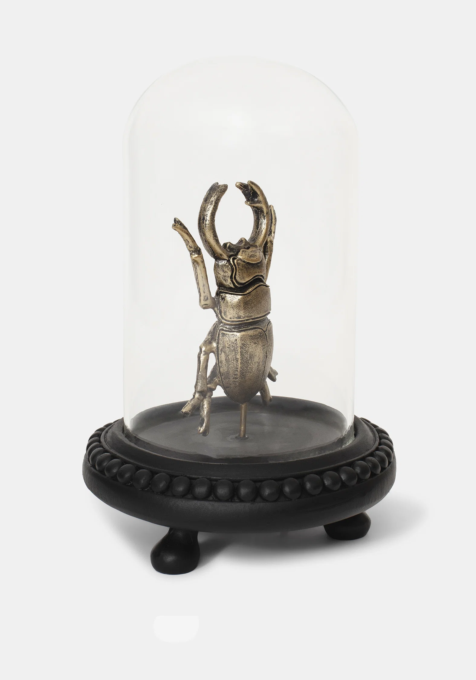 Lyra Bug in Jar - Image 4