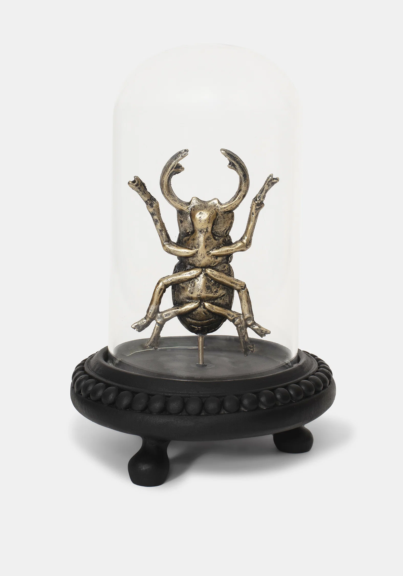 Lyra Bug in Jar - Image 5