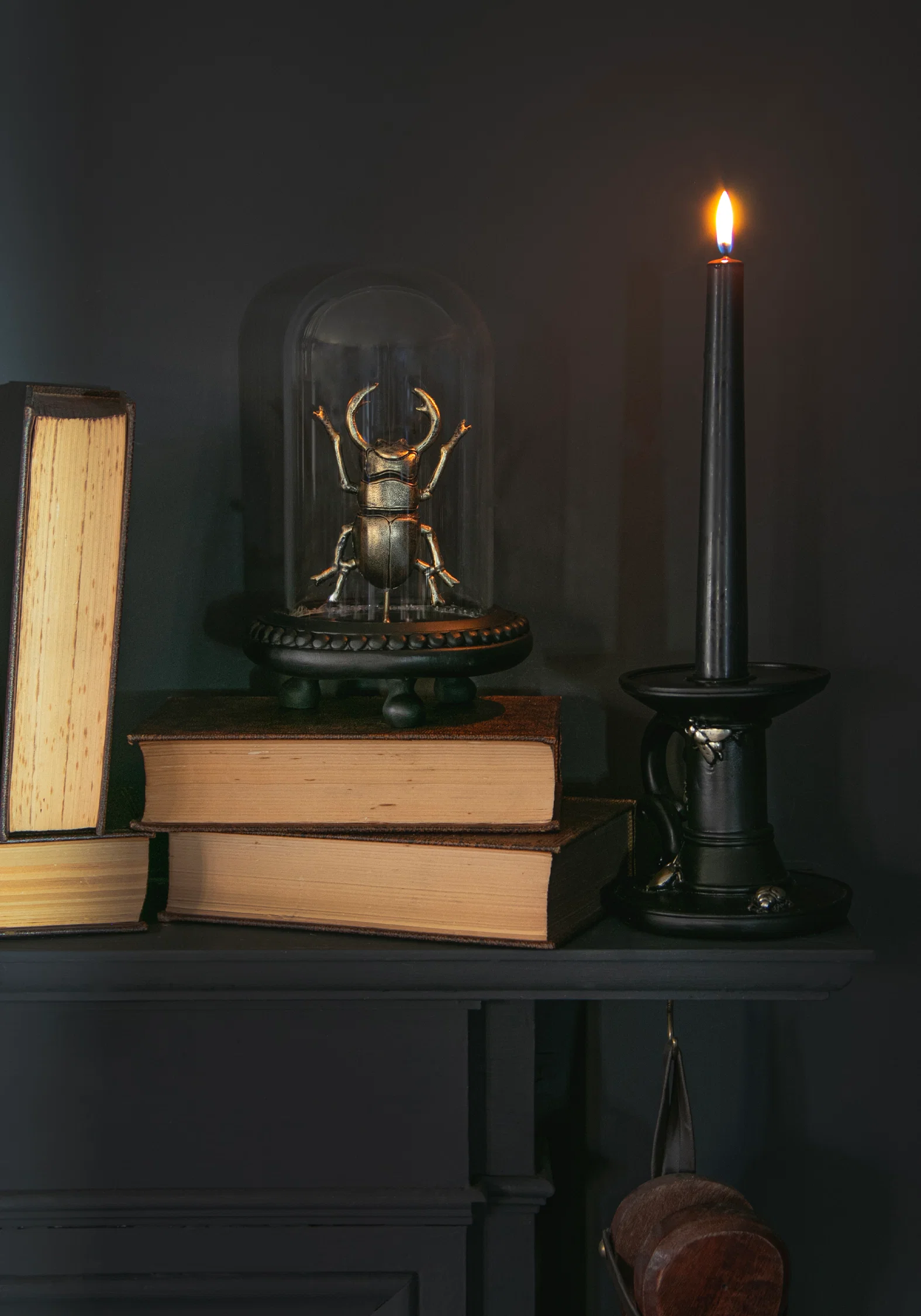 Lyra Bug in Jar - Image 6