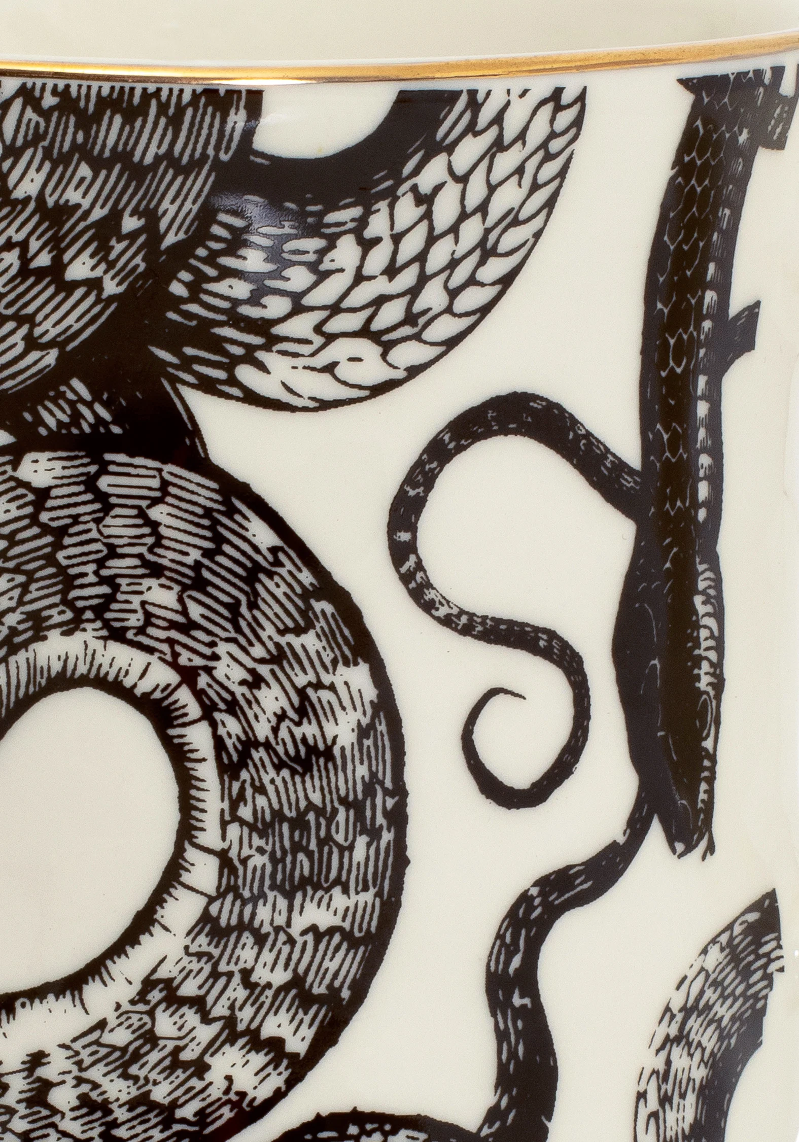 Saraph Snakes Mug - Image 3