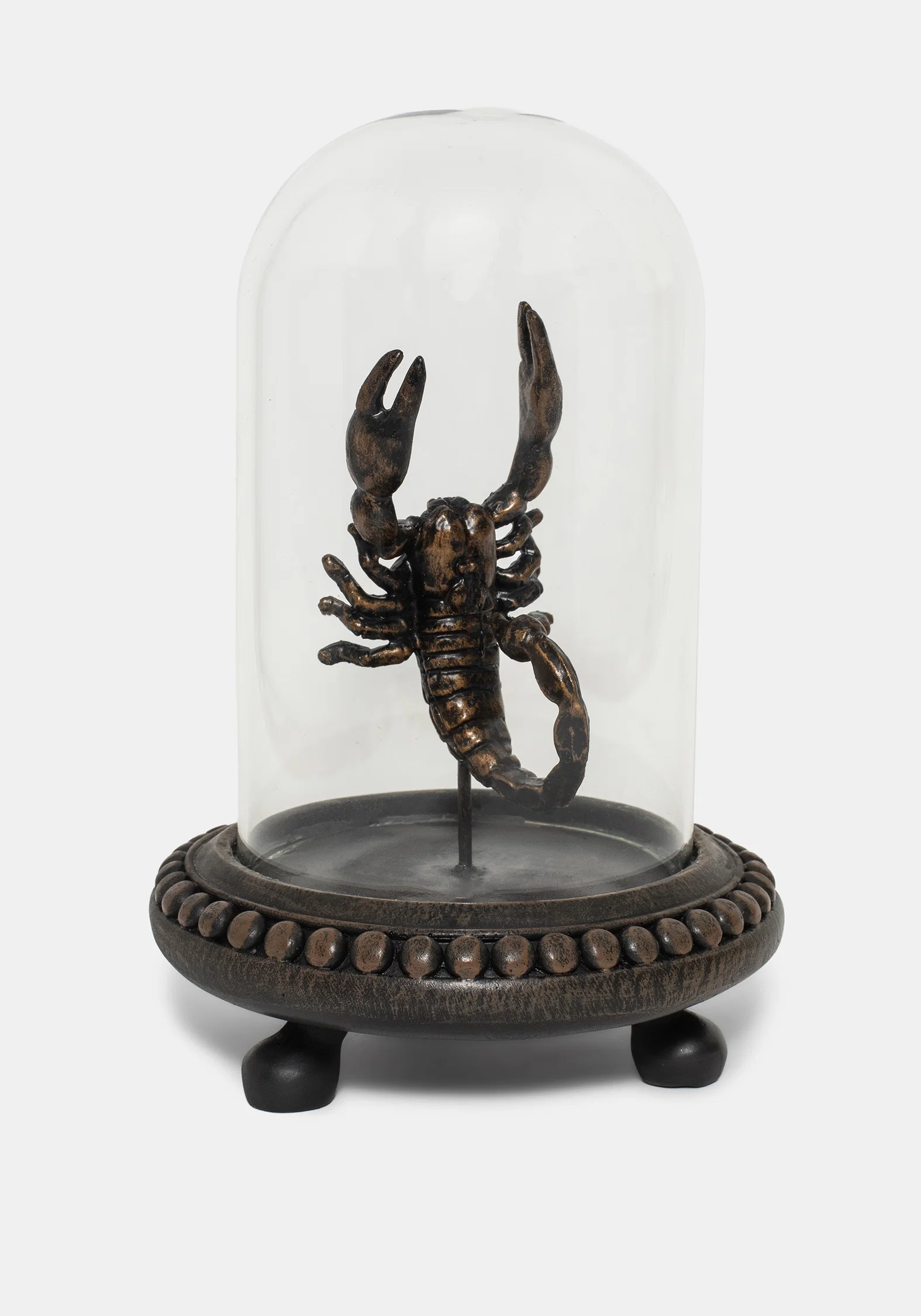 Skara Scorpion In Jar - Image 2