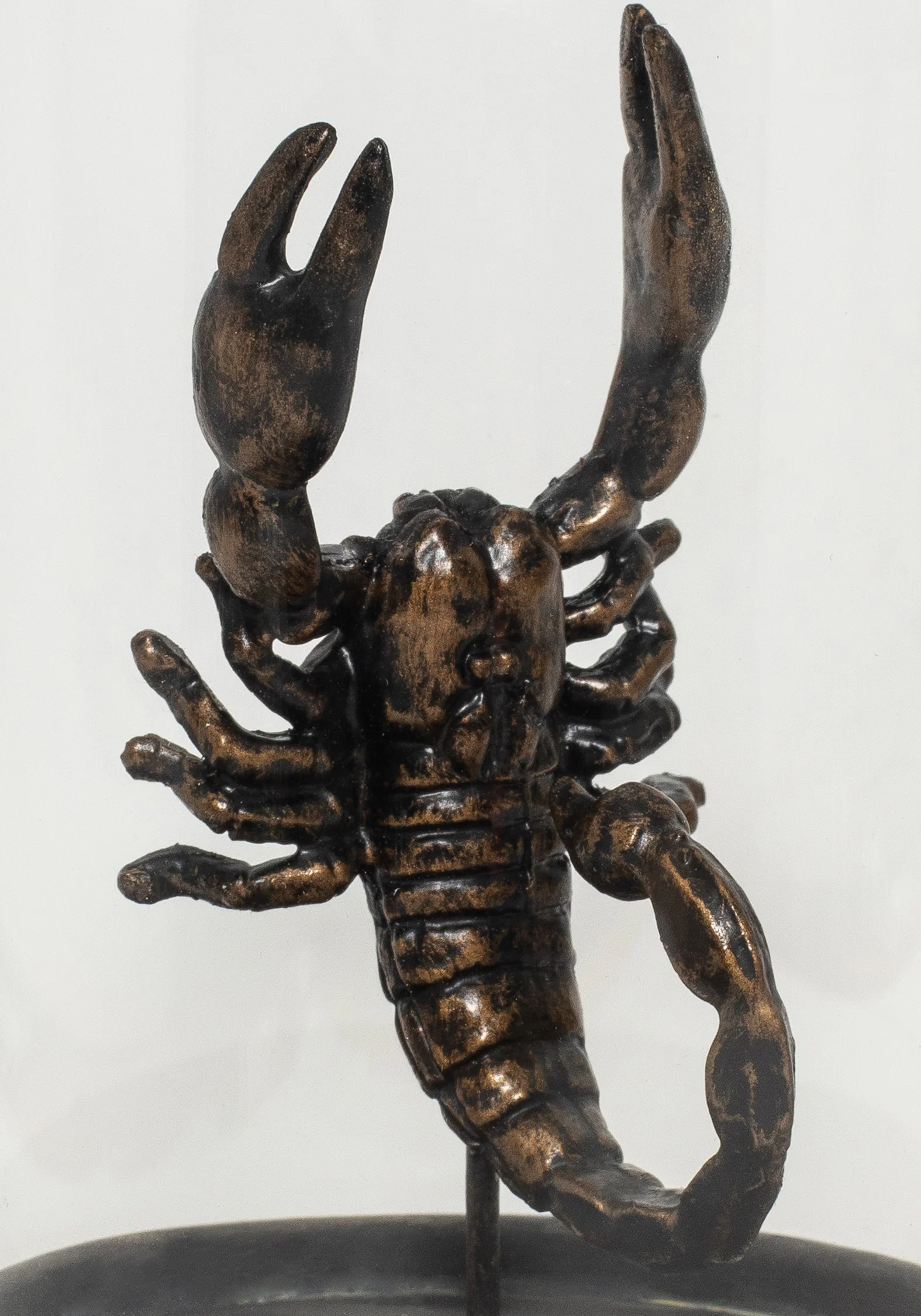 Skara Scorpion In Jar - Image 3