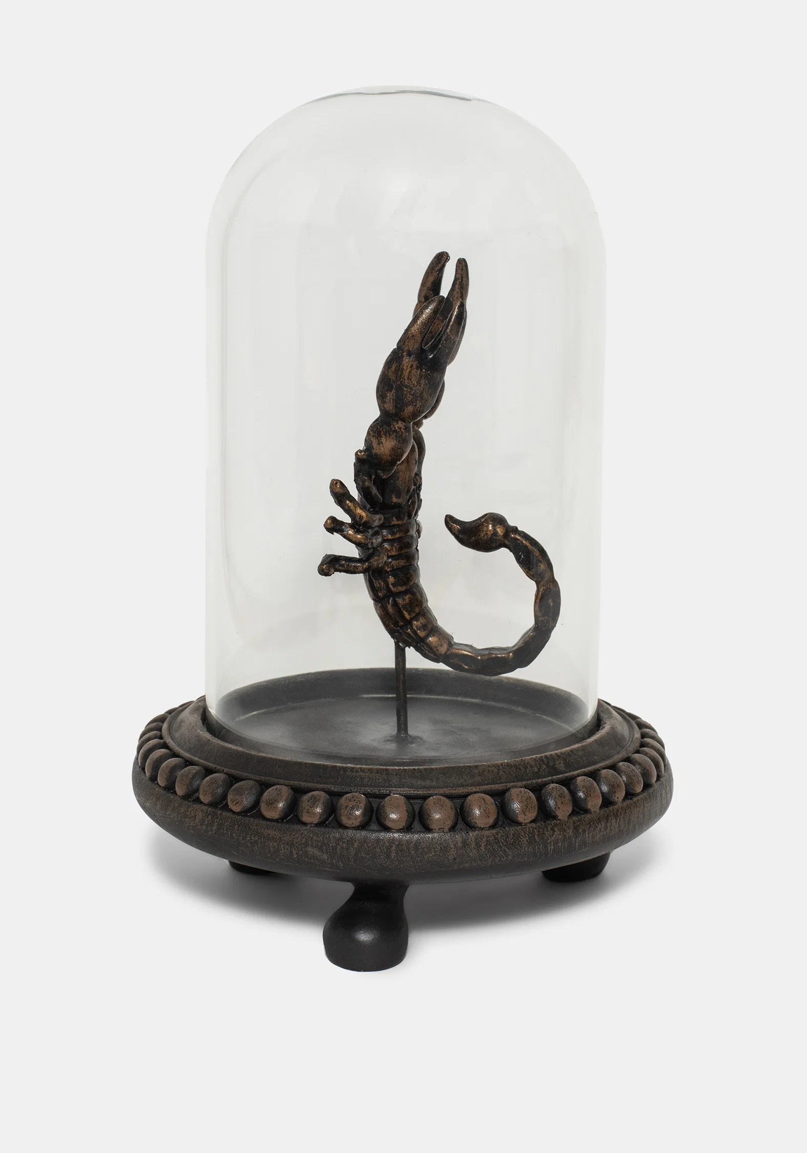 Skara Scorpion In Jar - Image 4