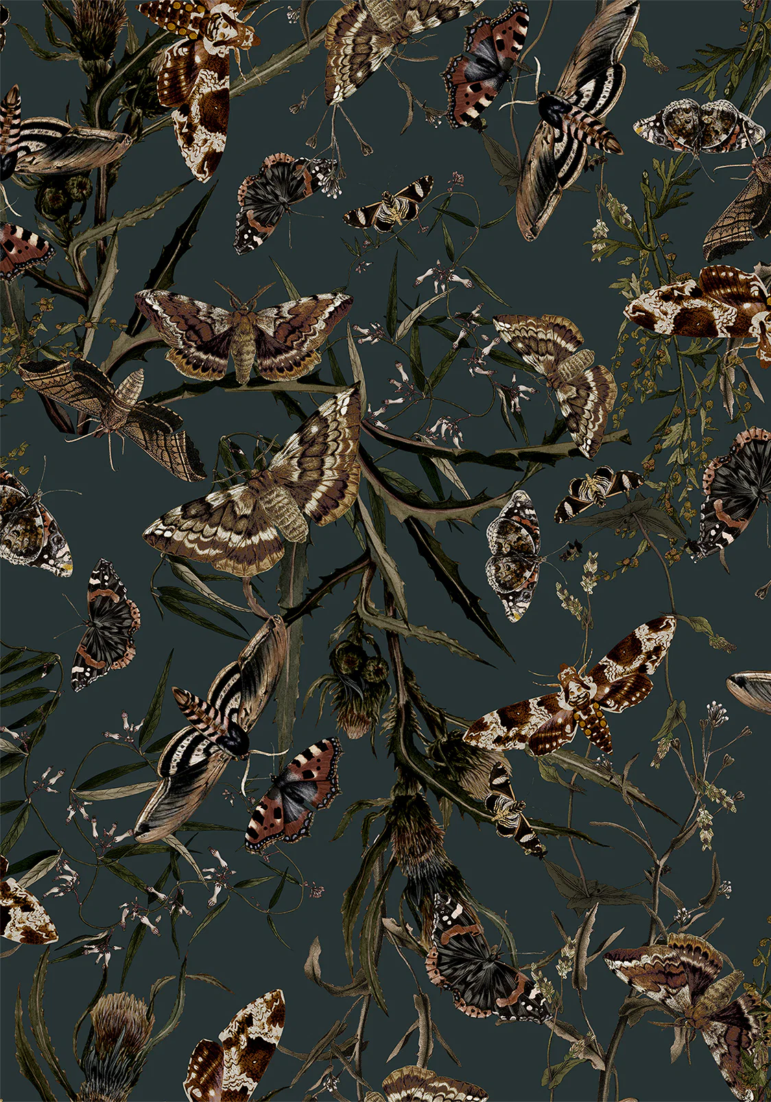 Whispen Moth Print Mini Wrap Dress - Image 6