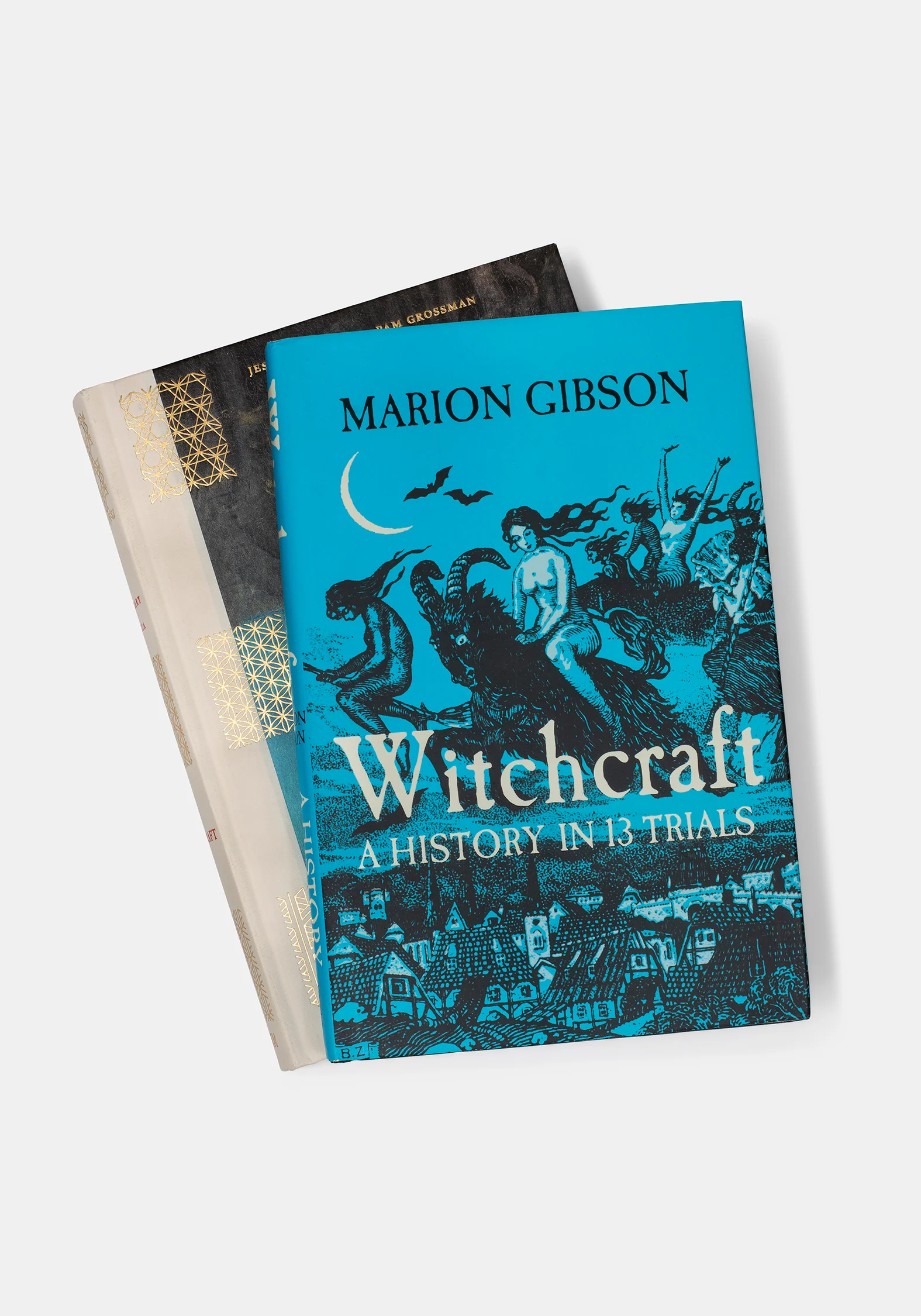 Witchcraft: A History in Thirteen Trials - Marion Gibson - Image 6